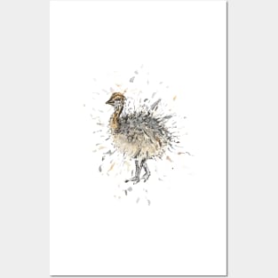 Ostrich Chick Posters and Art